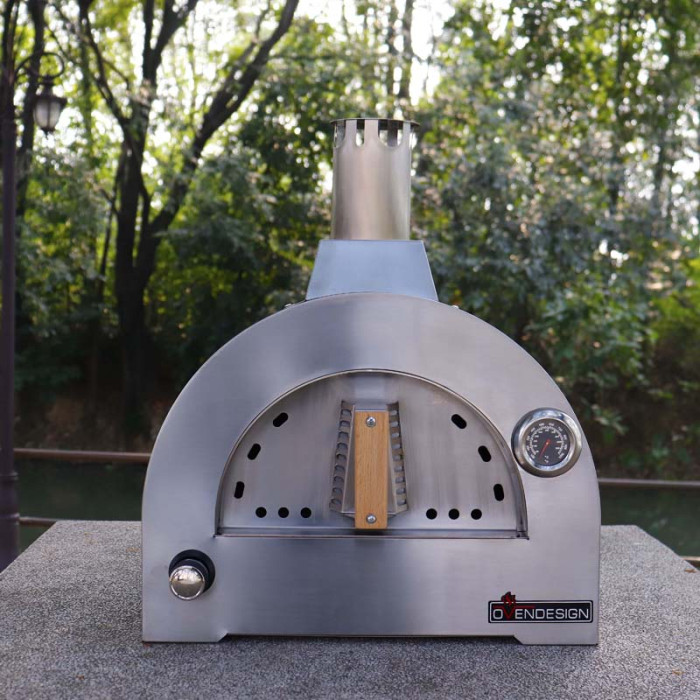 Gas Pizza Oven (3)