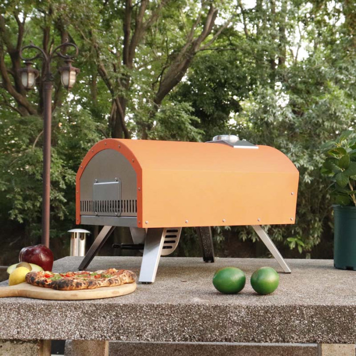 Gas Pizza Oven QQ-G-H-4 (7)