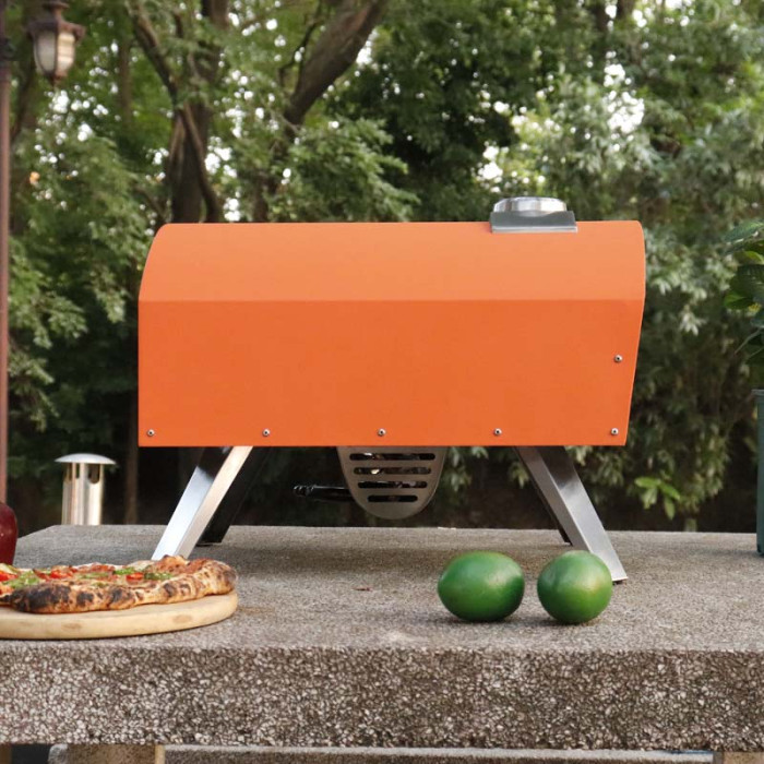 Gas Pizza Oven QQ-G-H-4 (8)
