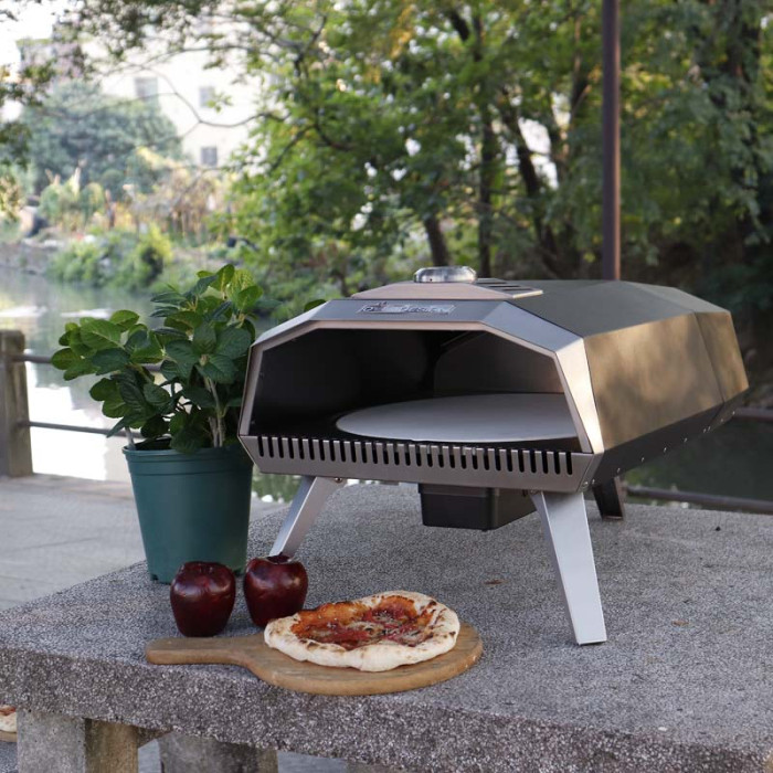 Gas Pizza Oven (2)