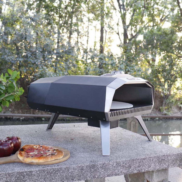 Gas Pizza Oven (3)