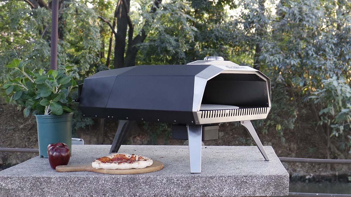 Gas Pizza Oven (7)